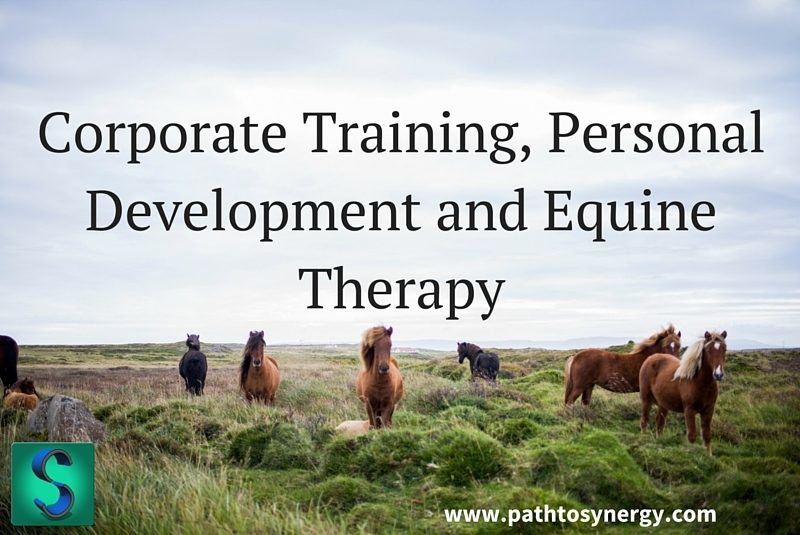 Corporate Training, Personal Development and Equine Therapy