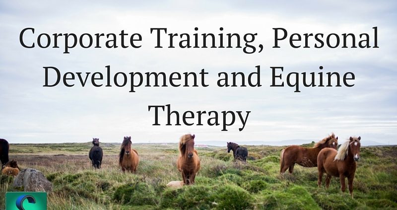 Corporate Training, Personal Development and Equine Therapy